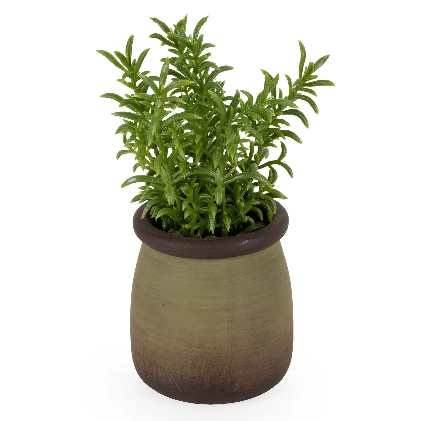 Sedum Lineare Mini Faux Plant