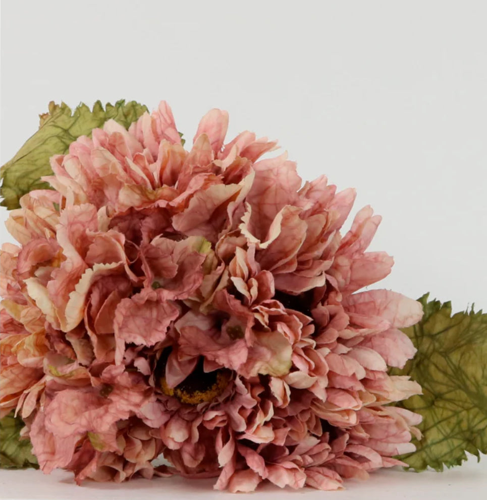 Dried Touch Gerbera Bunch