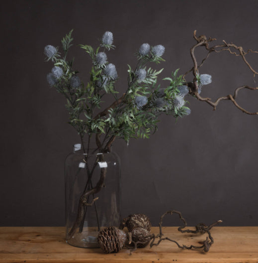 Blue Thistle
