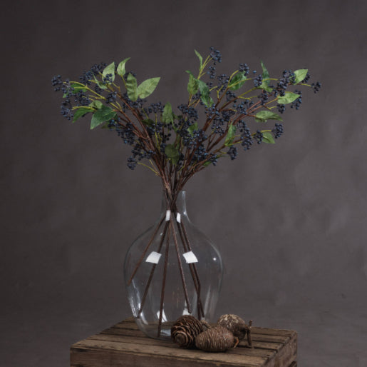 Viburnum Berry Stem