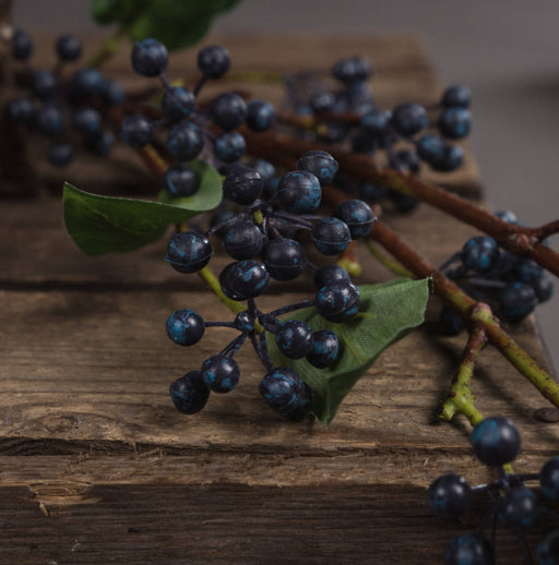 Viburnum Berry Stem