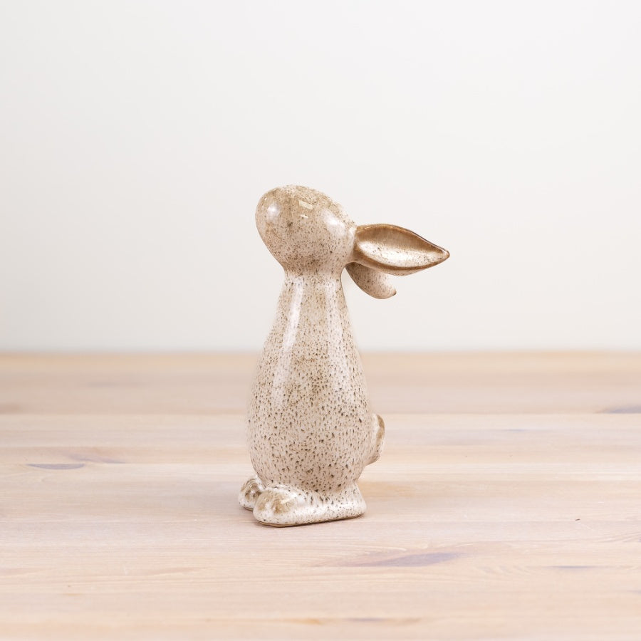 Glazed Bunny