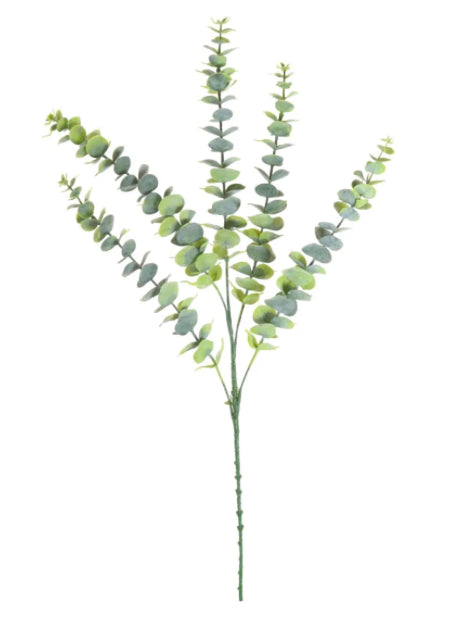 Dusted Eucalyptus