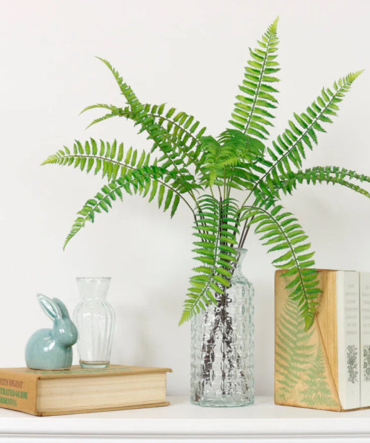 Ostrich Fern Single Stem