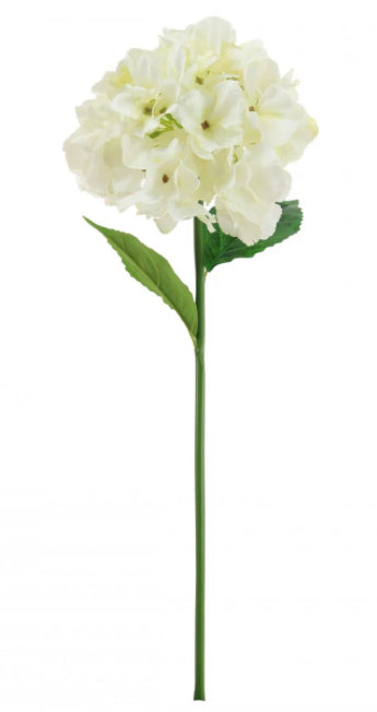 Silk French Hydrangea Cream