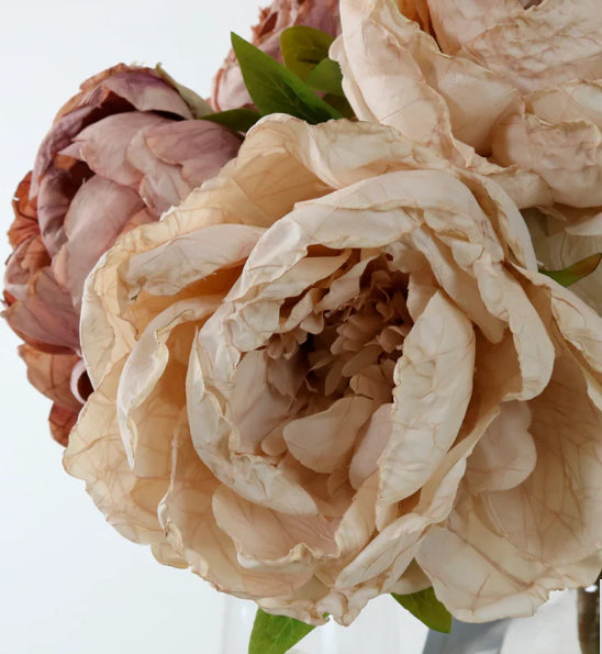 Dried Touch Peony Oyster