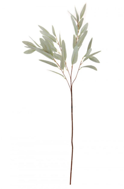 Nobel Leaf Stem Pale Green