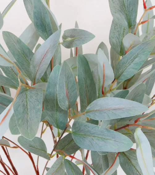 Nobel Leaf Stem Pale Green