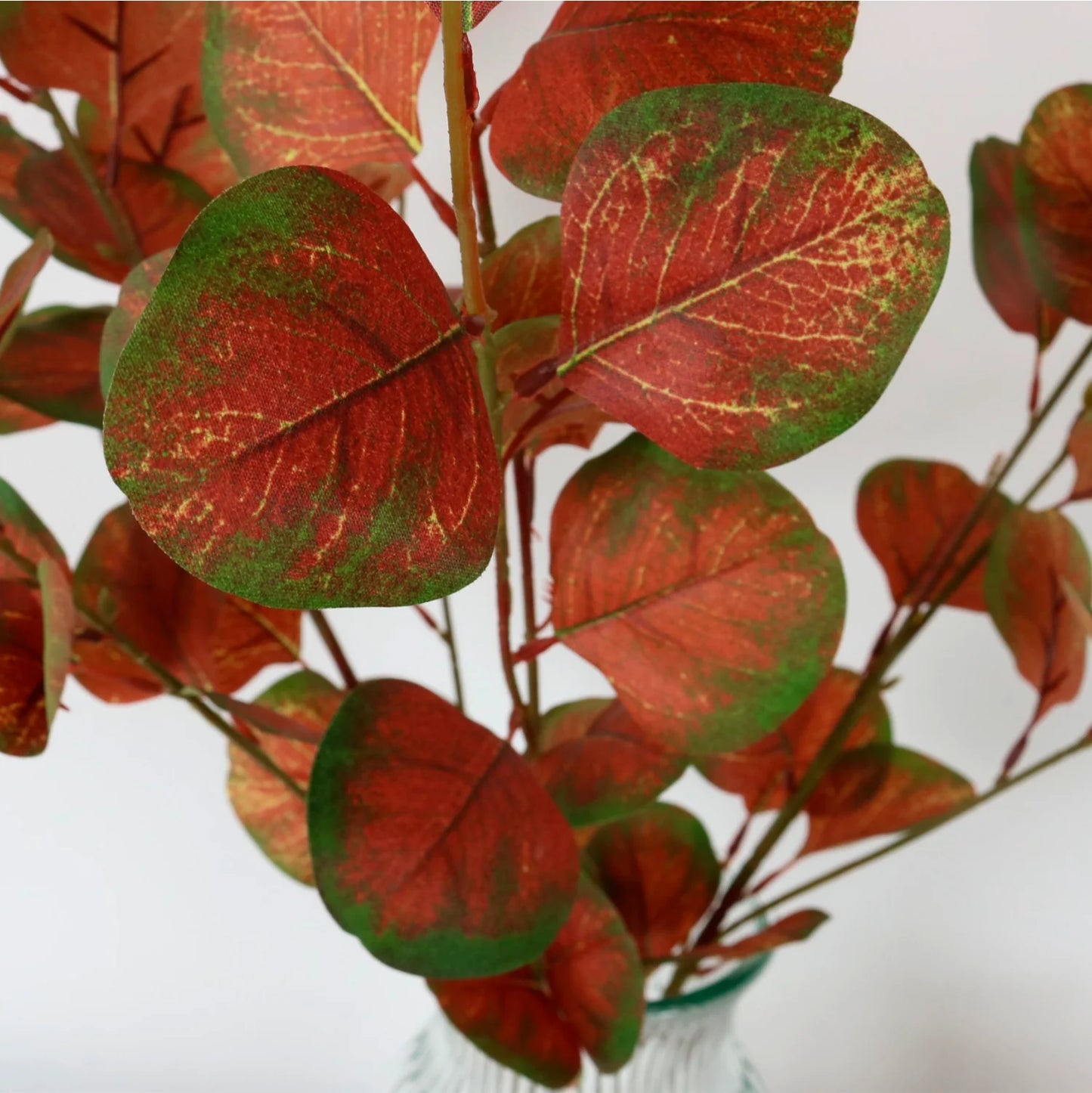 Silver Dollar Eucalyptus Red/Green