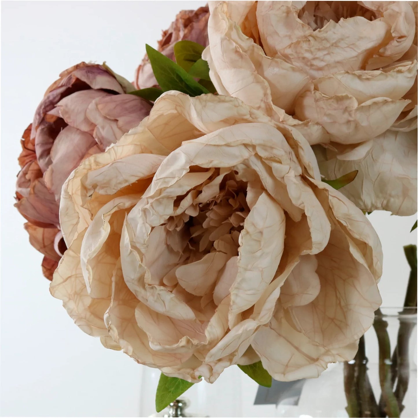 Dried Touch Peony