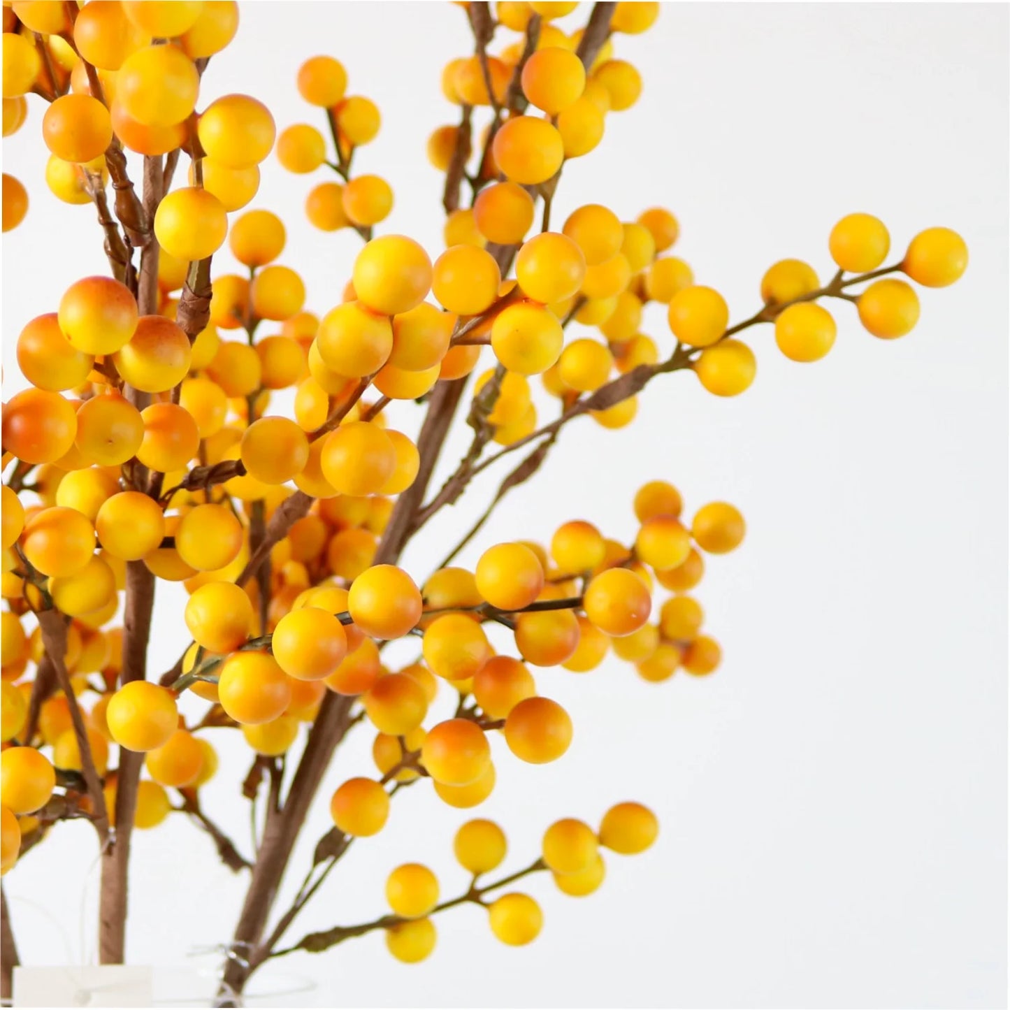 Autumn Yellow Berry