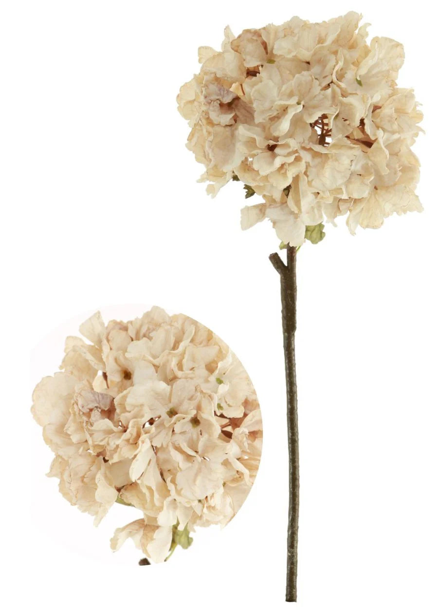 Dried Touch Ruffle Hydrangea