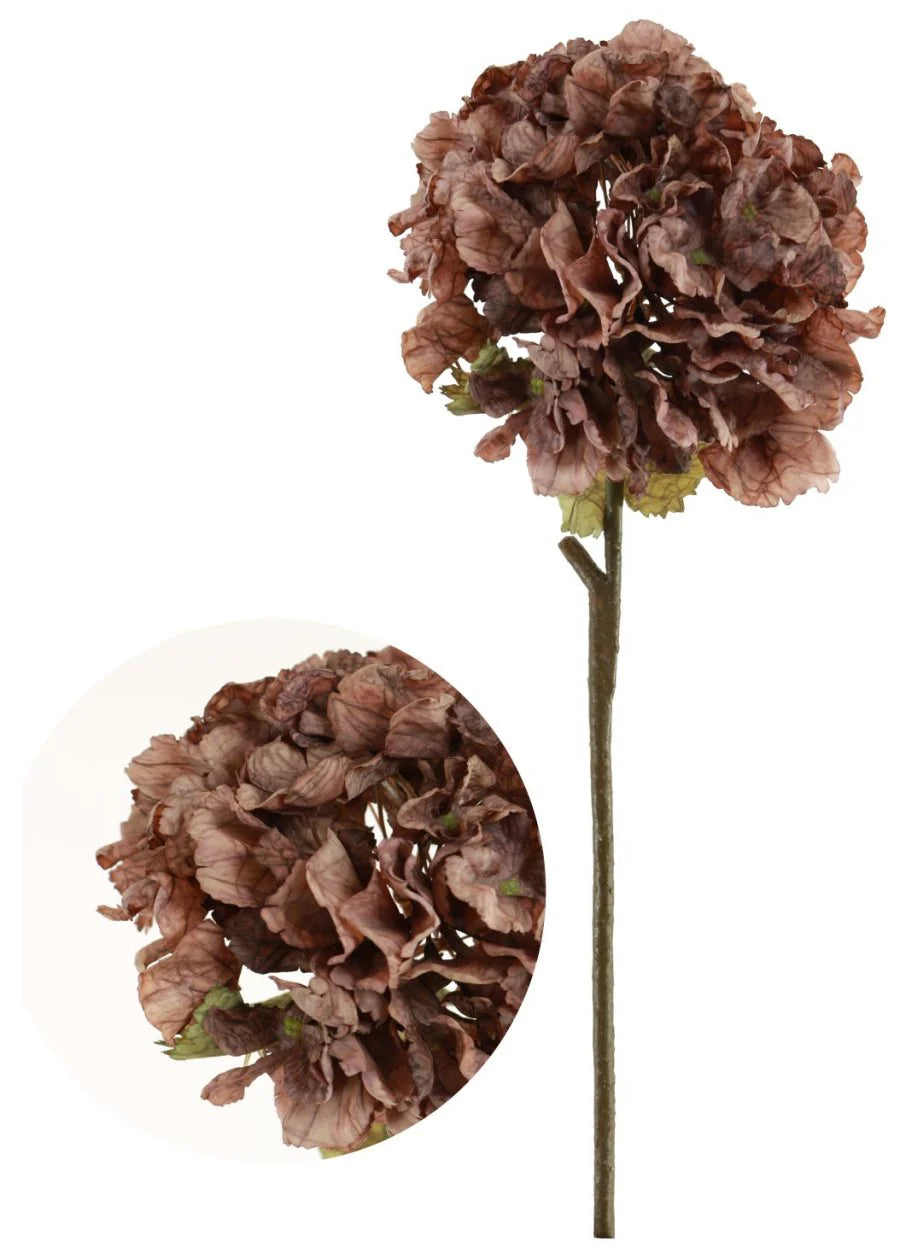 Dried Touch Ruffle Hydrangea