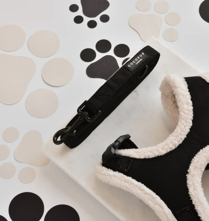 Black Aviator Dog Lead