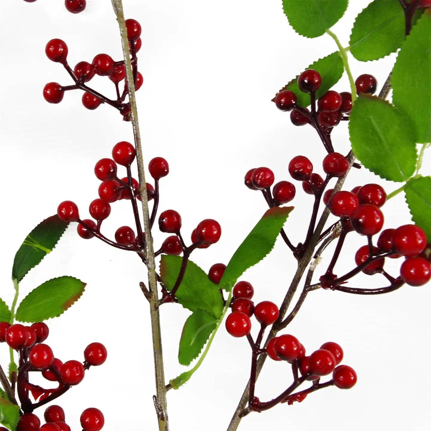 Red Berry Stem