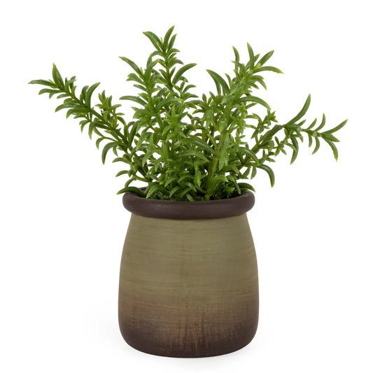 Sedum Lineare Mini Faux Plant