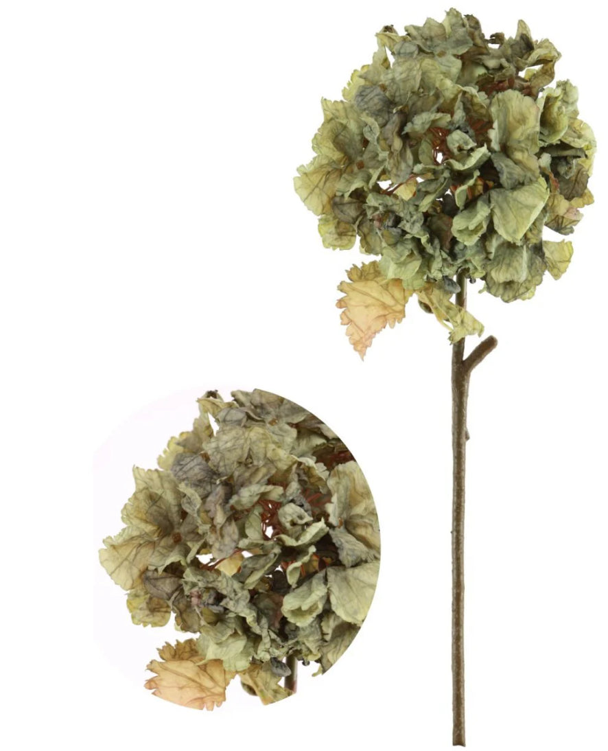 Dried Touch Ruffle Hydrangea Green