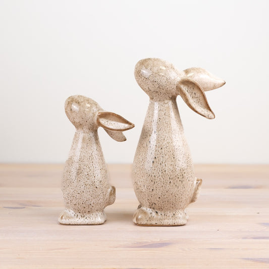 Glazed Bunny