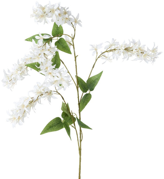 White Wisteria Spray