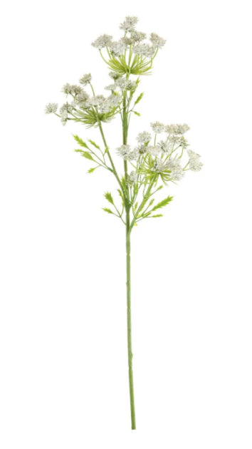 Cows Parsley Spray White