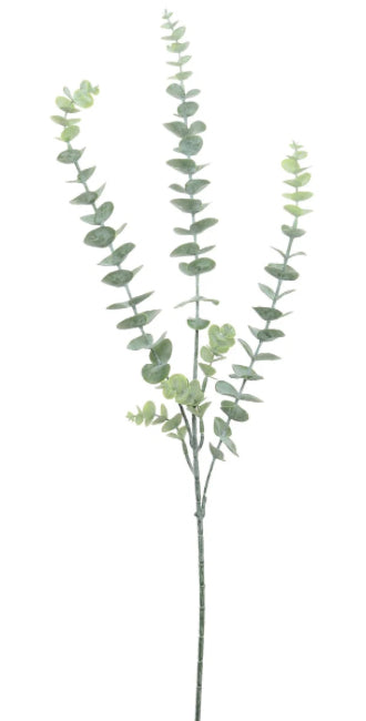 Dusted Eucalyptus Stem Natural Green