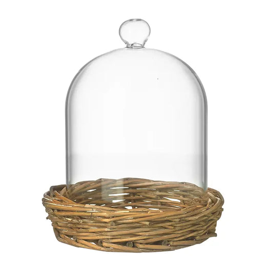 Small Cloche On Wooden Base