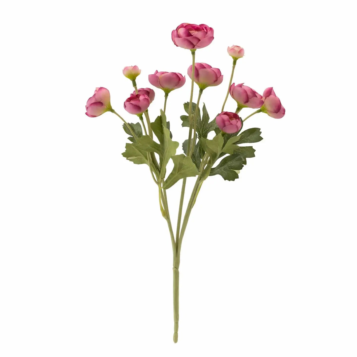 Pink Camellia Spray