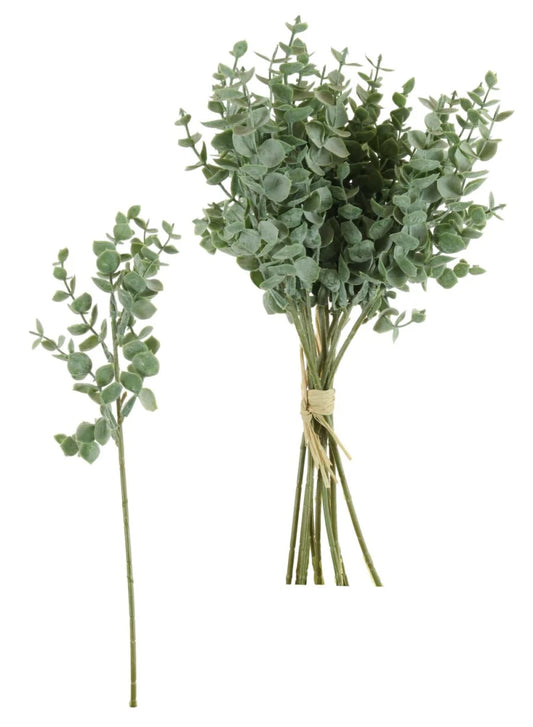 Eucalyptus Mini Sprigs