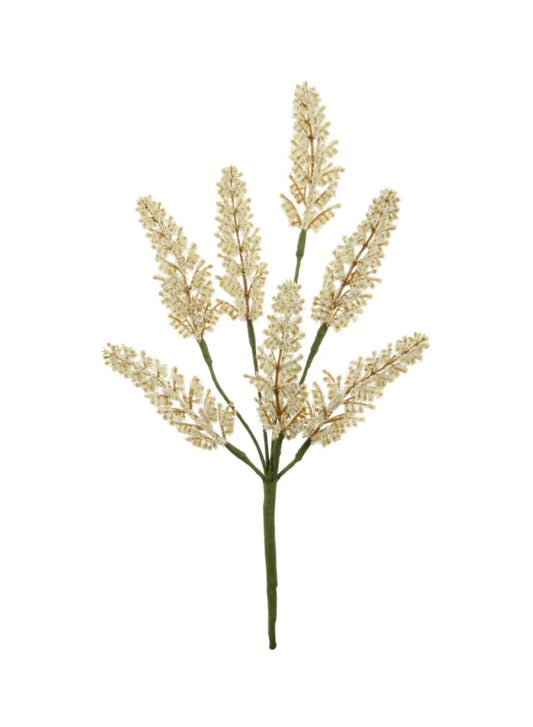 Natural Autumn Berry