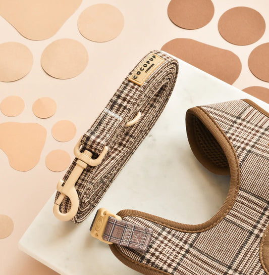 Pup Plaid Lead