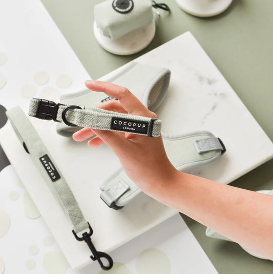 Sage Tweed Dod Collar