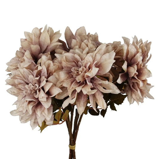 Dusky Pink Dahlia Stem