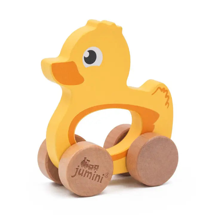 Push Along Friends Duck